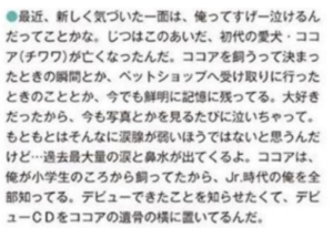 画像 目黒蓮の愛犬 ポメラニアンの名前は何 ワールド極限ミステリー しぶもふドットコム